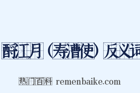 酹江月（寿漕使）反义词是什么意思的图片